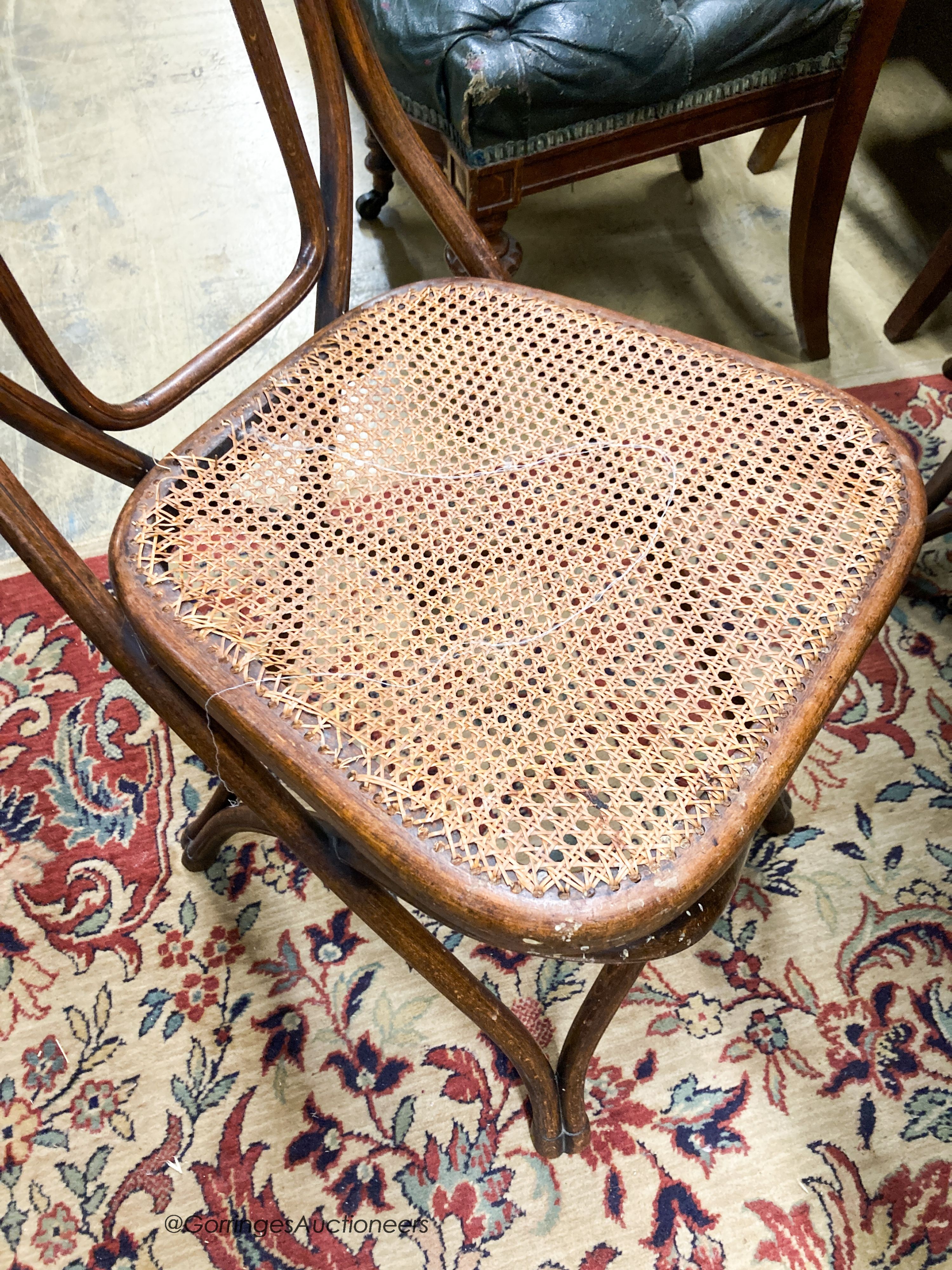 A set of five Thonet style caned beech bentwood chairs